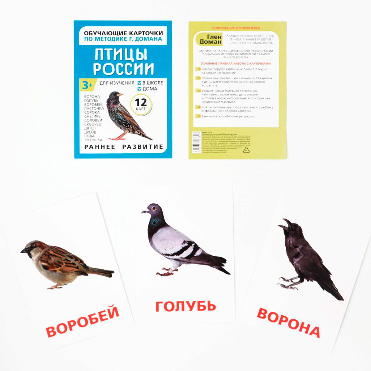 Обучающие карточки "Птицы России", 12 видов, формат А6